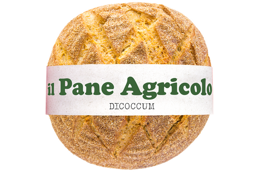 Pagnotta Dicoccum (Progetto Agricolo)