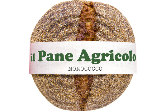 Pagnotta Monococco (Progetto Agricolo)